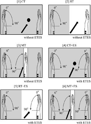 Exploring Hemodynamic Responses Using Mirror Visual Feedback With Electromyogram-Triggered Stimulation and Functional Near-Infrared Spectroscopy